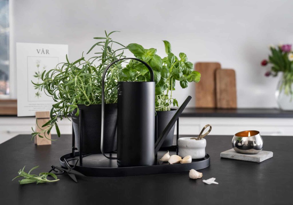 Scandinavian spring with Norlii includes elegant watering can for pot plants